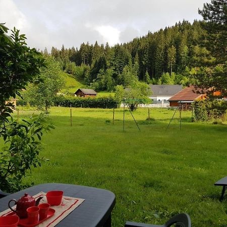 Appartement Escale Les Airelles Du Lac GÉRARDMER rez de jardin Extérieur photo