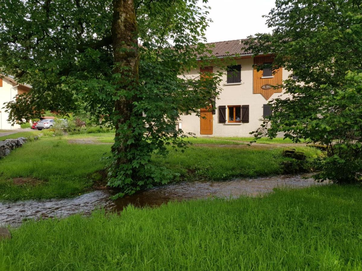 Appartement Escale Les Airelles Du Lac GÉRARDMER rez de jardin Extérieur photo